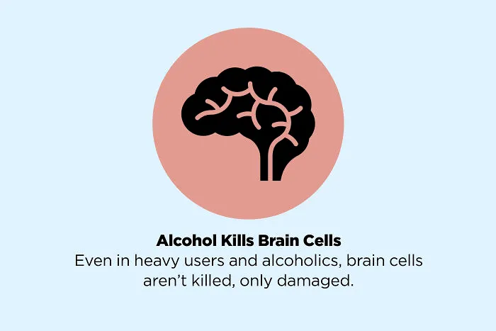 These 50 Facts You Always Believed Are Actually Fake