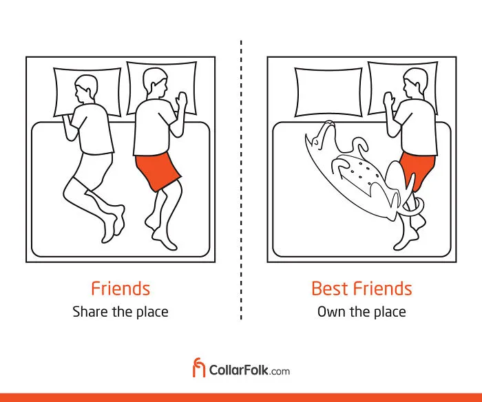 These Illustrations Prove That Dog Is Man's Best Friend