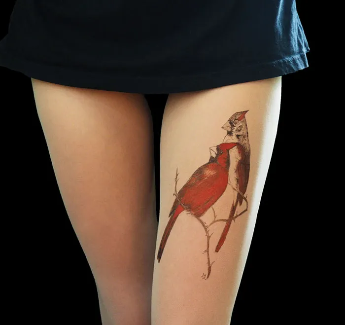 Birds Cardinal Tights