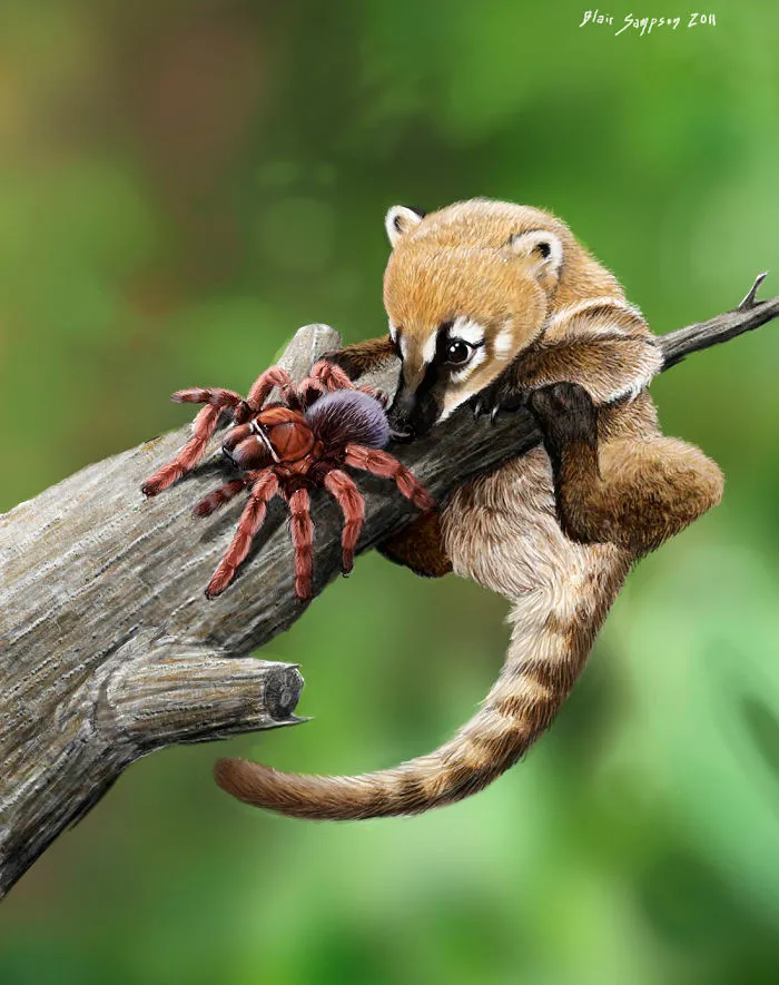 Cute Portraits Of Unexpected Animal Buddies By Blair Sampson