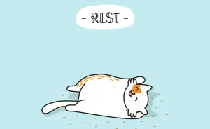 Life Advice From Cats: 5 Tricks To Beat Fall Fatigue
