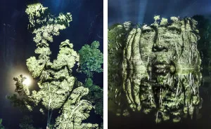 World's First Street Art In The Amazonian Rainforest