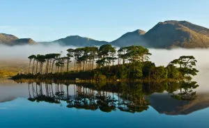 Why I Ditched My Career To Show People The Beauty Of Ireland