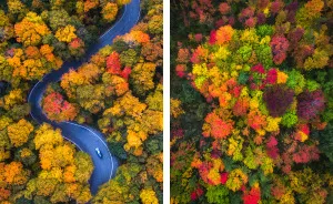 We Drove Through Every State In Northeast US To Photograph The Beauty Of Fall