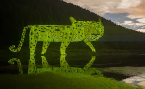 Nature Projections In São Miguel Island, Portugal