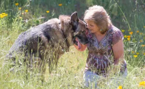 My Photo Project Has Shown Me The Joy Of Adopting Older Dogs