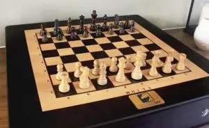 See The Harry Potter Chess Board Come To Life