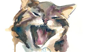 I Painted A Cat Everyday For The Month Of Catober