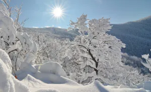 I Went Hiking In The Mountains Of Northern Croatia After Heavy Snowfall