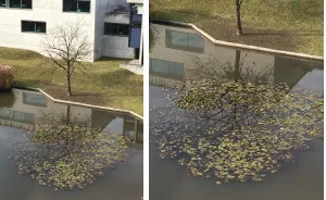 84 Reflections That Will Mess With Your Head