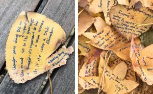 I Left 86 Leaves With Handwritten Poetry In NYC Parks For People To Find