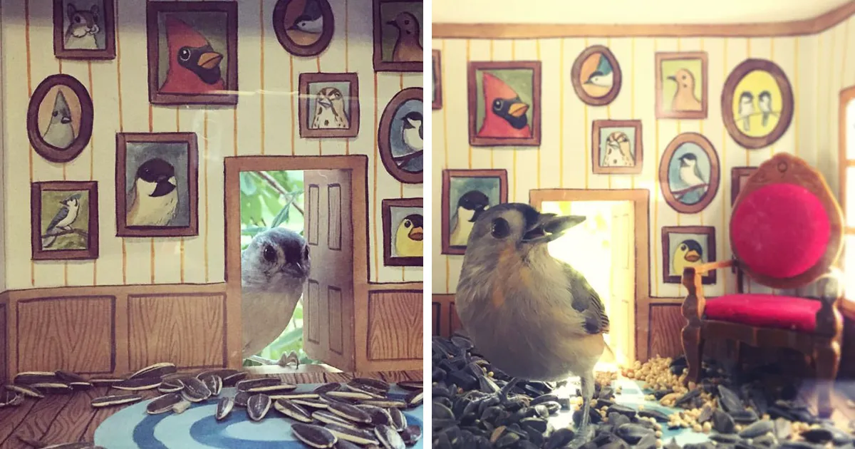 Esta mujer construye diminutas casitas para los pájaros que la visitan