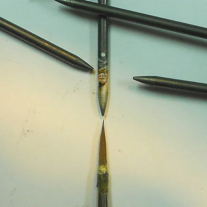 Turkish Artist Paints Unbelievably Tiny Paintings Onto Small Objects