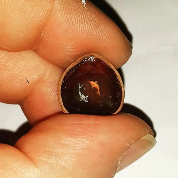 Turkish Artist Paints Unbelievably Tiny Paintings Onto Small Objects