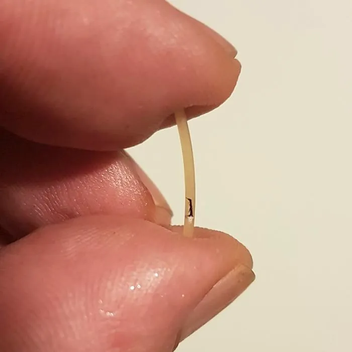 Turkish Artist Paints Unbelievably Tiny Paintings Onto Small Objects