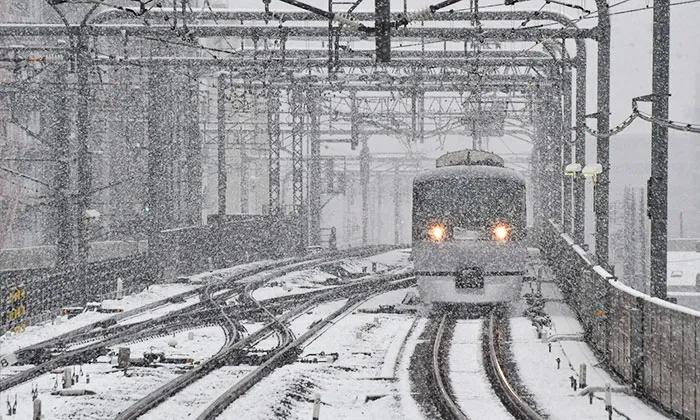 Tokyo, Which Hasn't Seen November Snow In Over 50 Years, Surprised To Wake Up In A Winter Wonderland
