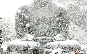 Tokyo, Which Hasn't Seen November Snow In Over 50 Years, Surprised To Wake Up In A Winter Wonderland