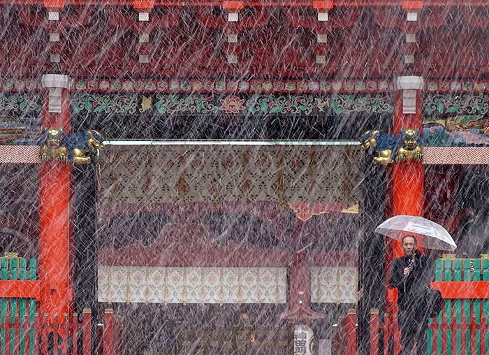 Tokyo, Which Hasn't Seen November Snow In Over 50 Years, Surprised To Wake Up In A Winter Wonderland