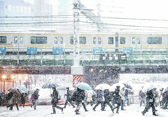 Tokyo, Which Hasn't Seen November Snow In Over 50 Years, Surprised To Wake Up In A Winter Wonderland