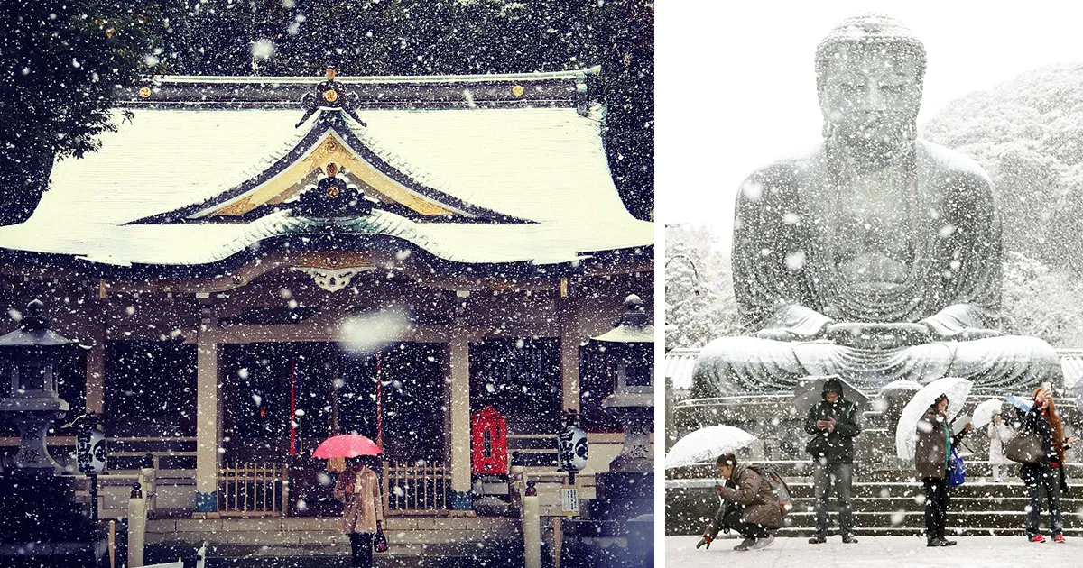 Llevaba más de 50 años sin nevar en Noviembre en Tokyo, y se despertaron con esta invernal sorpresa