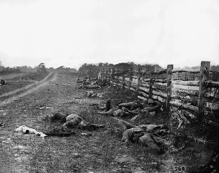 Historic battlefield photo showing fallen soldiers along a wooden fence, capturing a solemn moment in history.