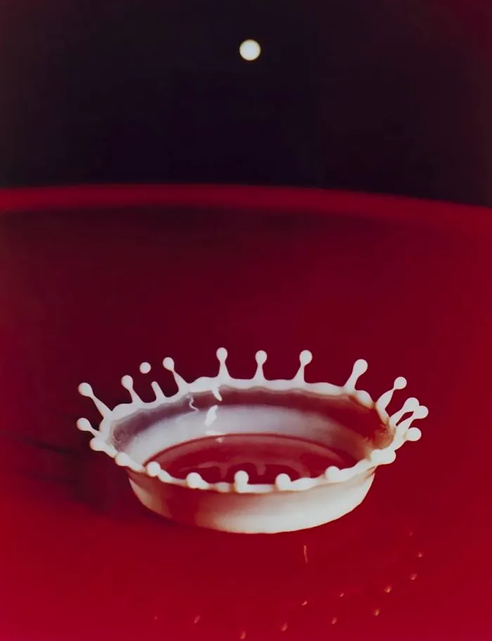 Milk drop creating a crown-like splash against a red background, iconic photograph capturing the moment of impact.