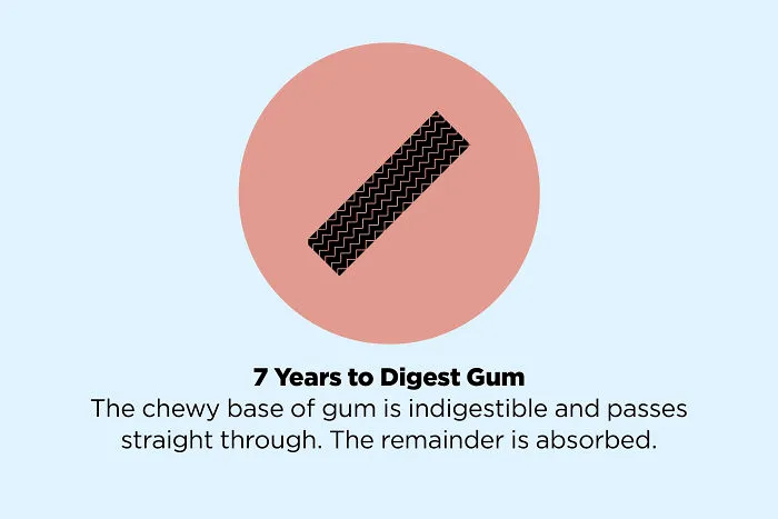 These 50 Facts You Always Believed Are Actually Fake
