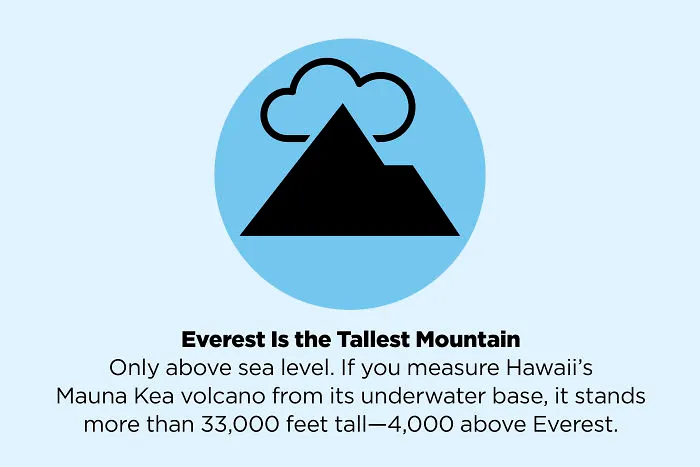 These 50 Facts You Always Believed Are Actually Fake