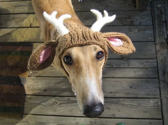 Deer Antler Snood
