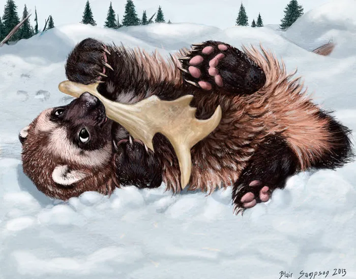 Cute Portraits Of Unexpected Animal Buddies By Blair Sampson