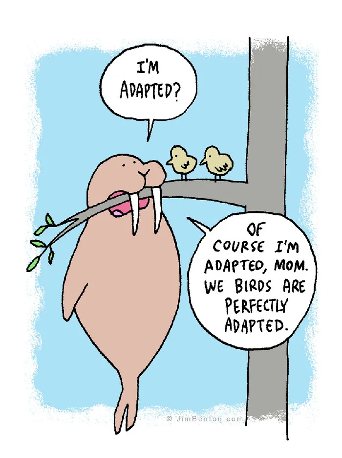 60 Of My Funniest Animal Cartoons So Far