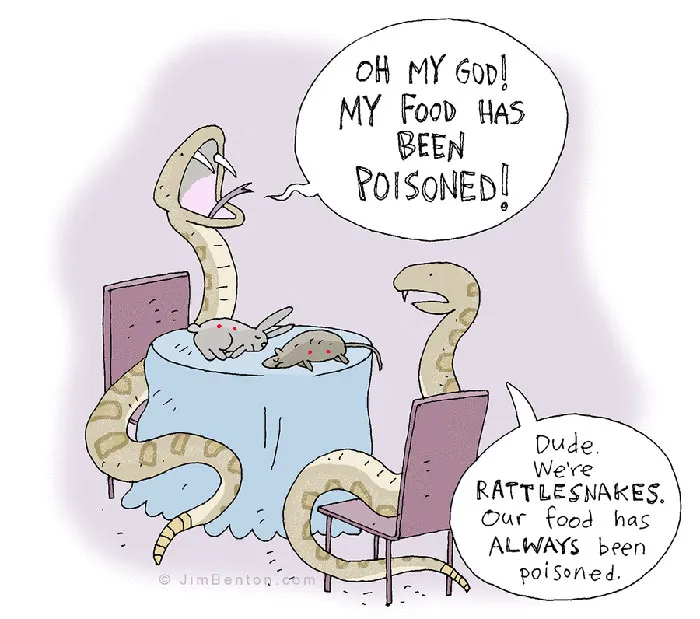 60 Of My Funniest Animal Cartoons So Far