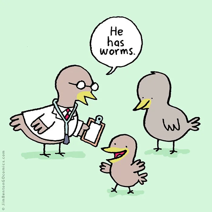 60 Of My Funniest Animal Cartoons So Far