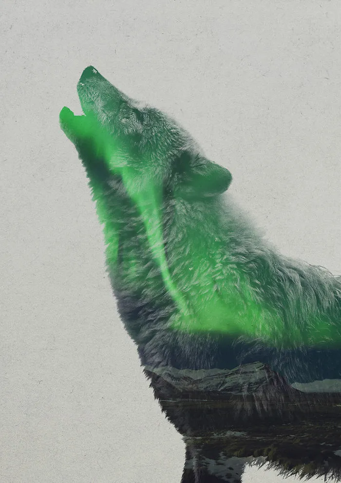 I Combine Animals And Landscapes In My Double Exposure Artwork