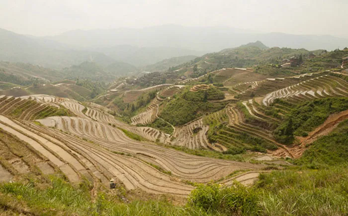 Terraced fields under a hazy sky, showcasing the natural landscape before Photoshop enhancement.