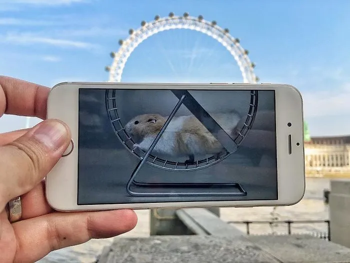 I Bring Everyday Objects To Life By Adding A Twist To Them Using My Phone