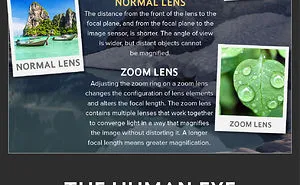 The Camera Lens Vs The Eye