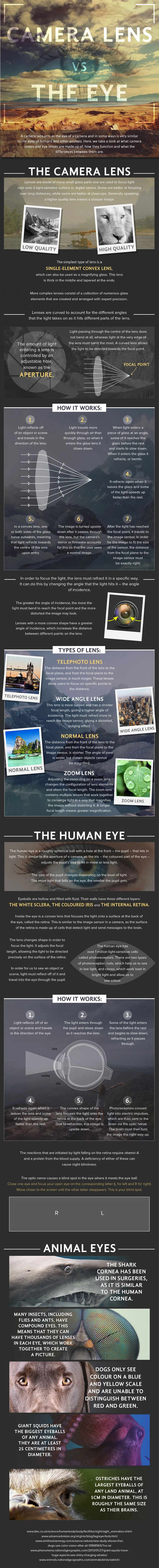 The Camera Lens Vs The Eye