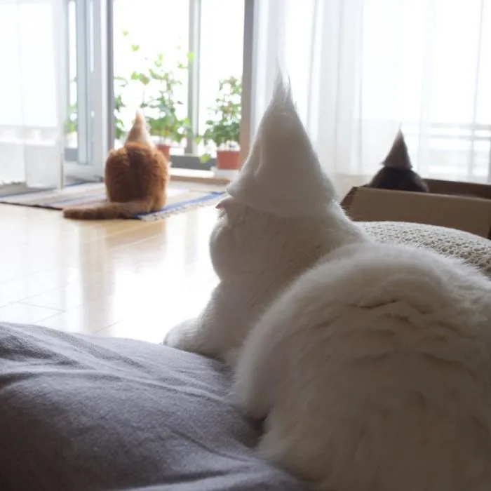 Cats In Hats Made From Their Own Hair