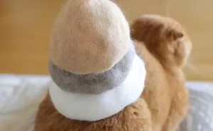 Cats In Hats Made From Their Own Hair