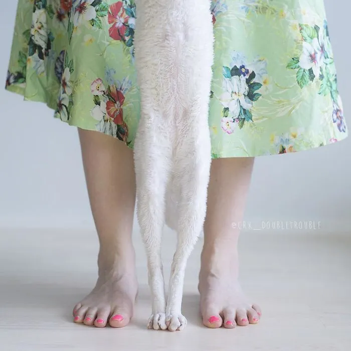 Meet The Cutest Trouble Makers In Finland With Curls And Rabbit Ears