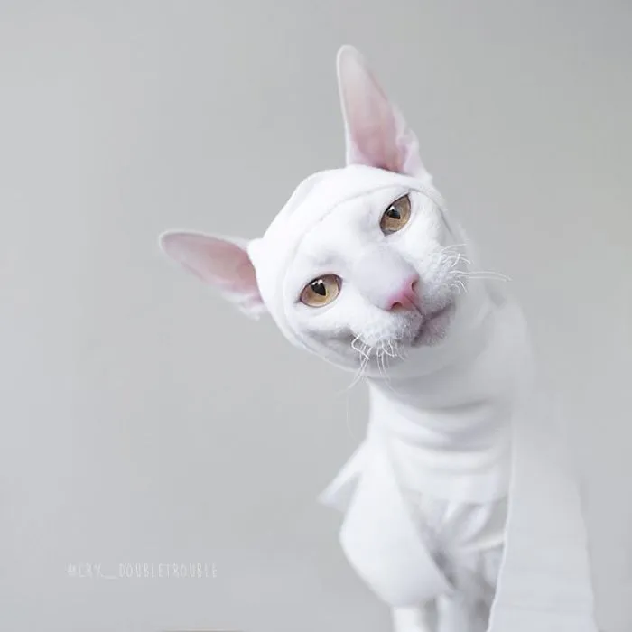 Meet The Cutest Trouble Makers In Finland With Curls And Rabbit Ears