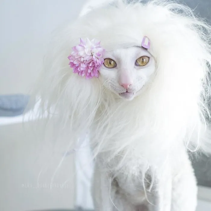 Meet The Cutest Trouble Makers In Finland With Curls And Rabbit Ears
