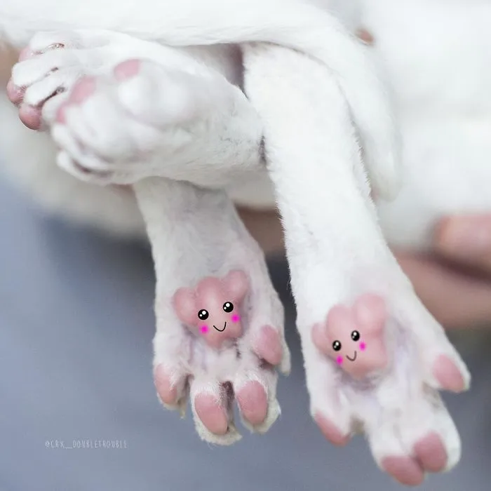 Meet The Cutest Trouble Makers In Finland With Curls And Rabbit Ears
