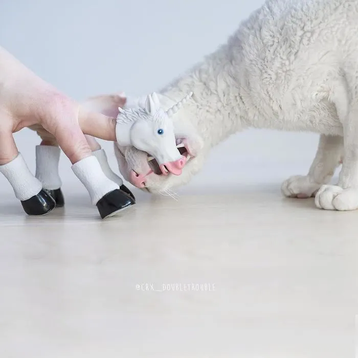 Meet The Cutest Trouble Makers In Finland With Curls And Rabbit Ears