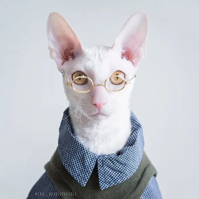 Meet The Cutest Trouble Makers In Finland With Curls And Rabbit Ears