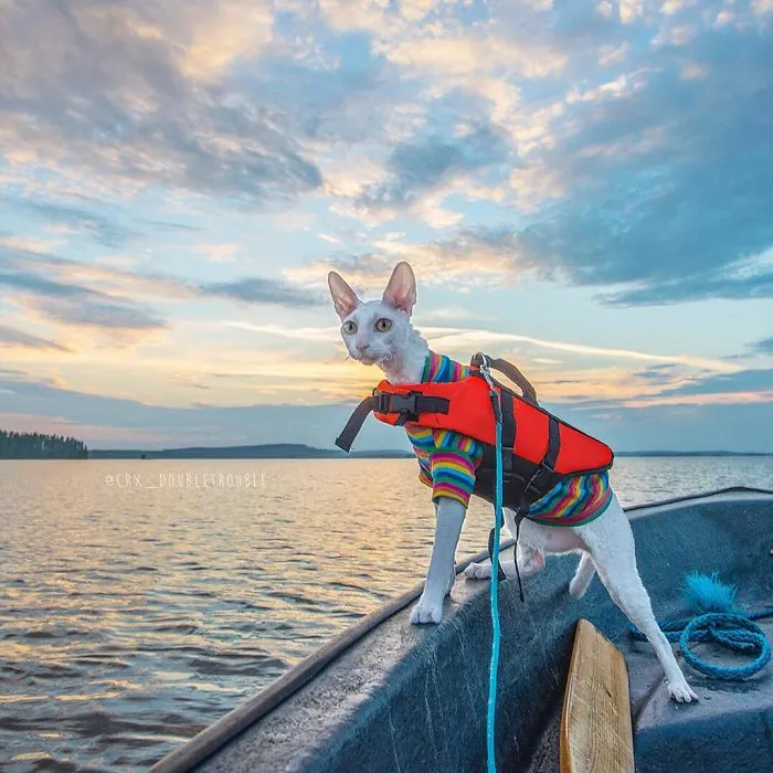 Meet The Cutest Trouble Makers In Finland With Curls And Rabbit Ears