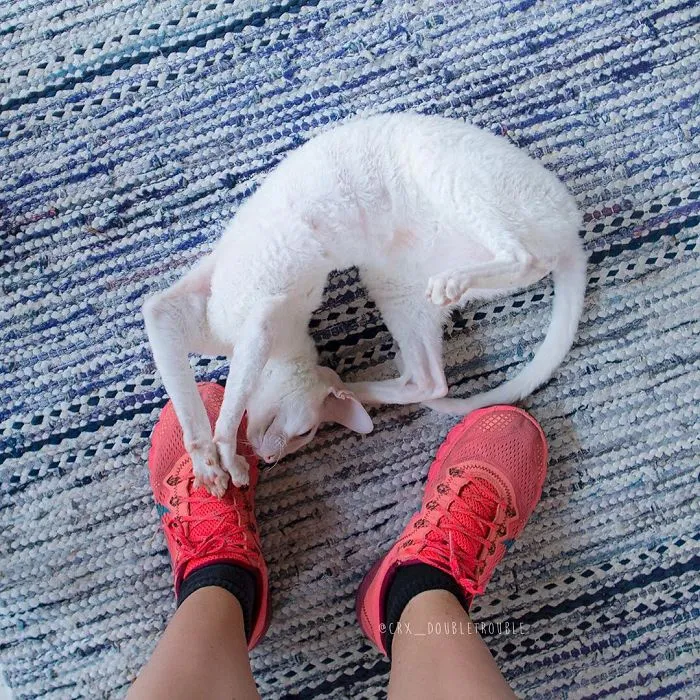 Meet The Cutest Trouble Makers In Finland With Curls And Rabbit Ears
