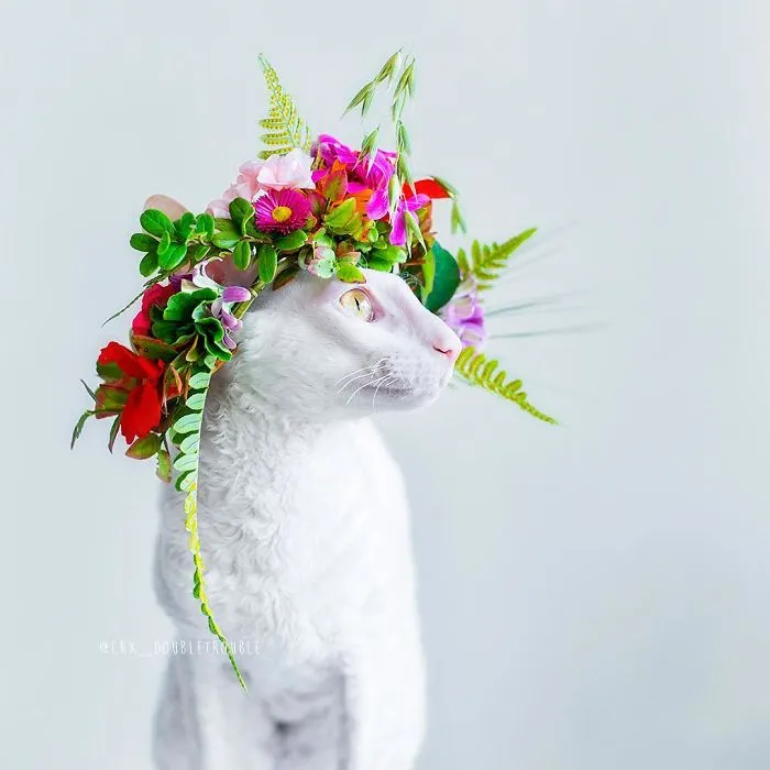 Meet The Cutest Trouble Makers In Finland With Curls And Rabbit Ears