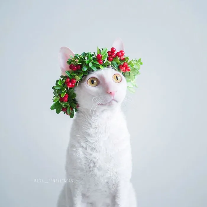 Meet The Cutest Trouble Makers In Finland With Curls And Rabbit Ears